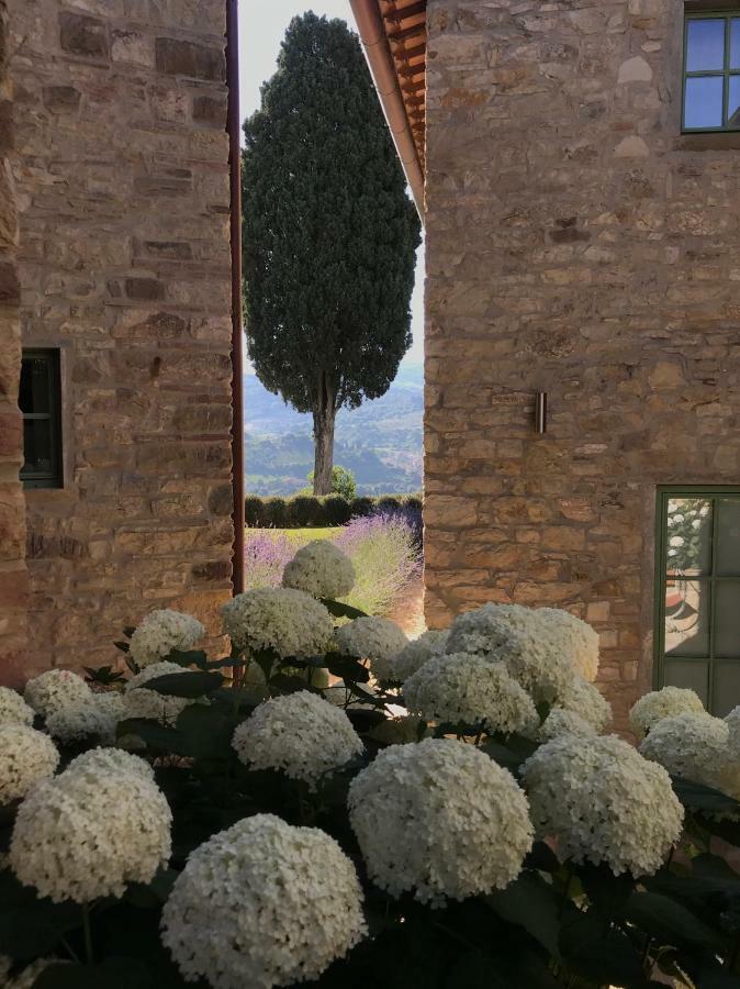 Hotel Borgo Del Cabreo Greve in Chianti Zewnętrze zdjęcie